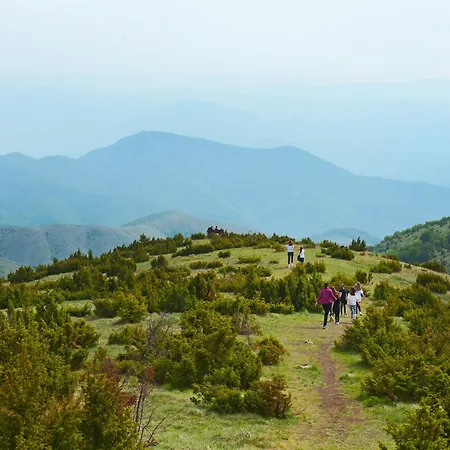 Kraljevi Cardaci Kopaonik