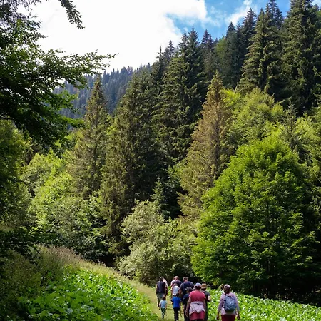 Διαμέρισμα Kraljevi Cardaci *