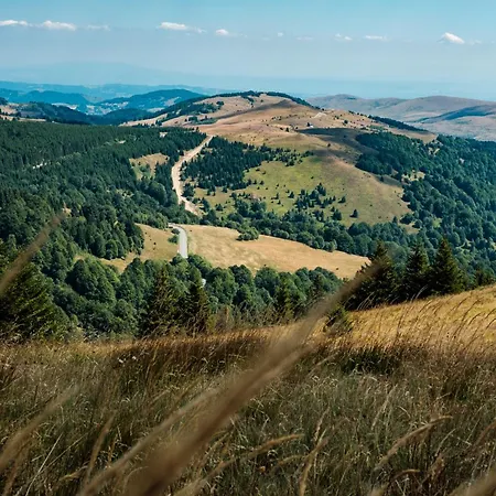 Kraljevi Cardaci * Kopaonik