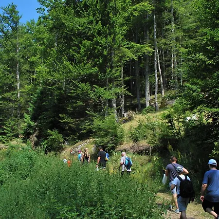 Kraljevi Cardaci Διαμέρισμα