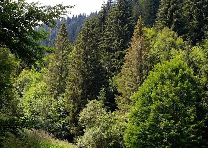 Lejlighed Kraljevi Cardaci *