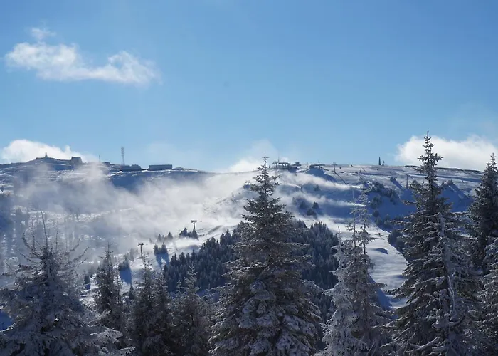 Kraljevi Cardaci Lejlighed Kopaonik