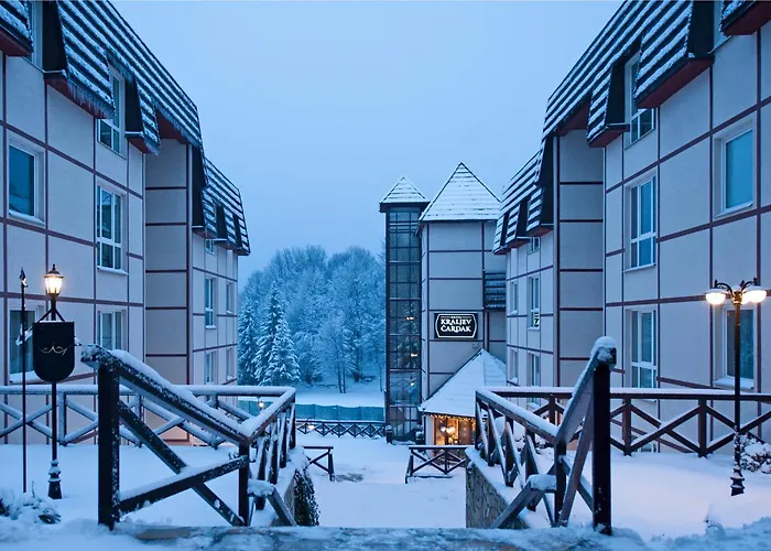 Kraljevi Cardaci Kopaonik