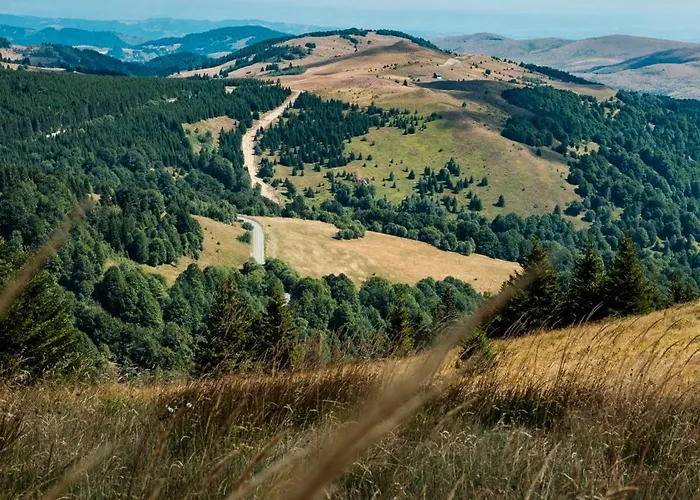 Kraljevi Cardaci * Kopaonik