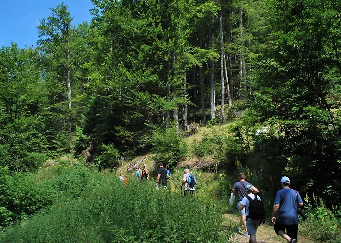Kraljevi Cardaci Lejlighed