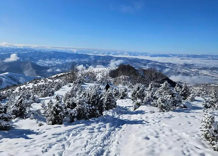 Lejlighed Kraljevi Cardaci